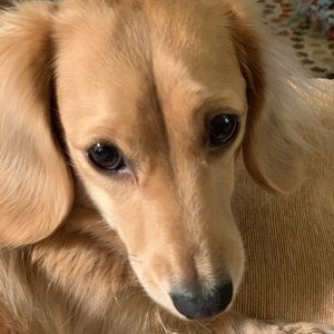 Meet your Posher, Michele